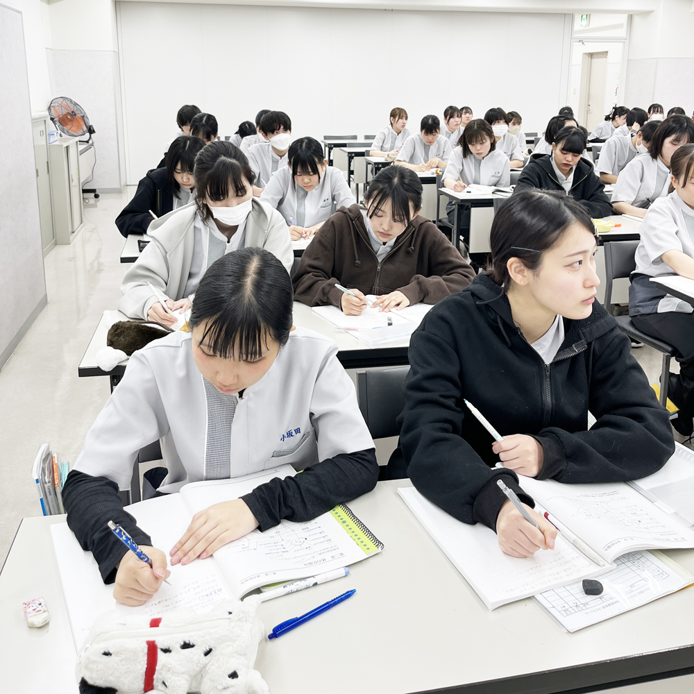 １年生、犬種を学ぶ「犬学」